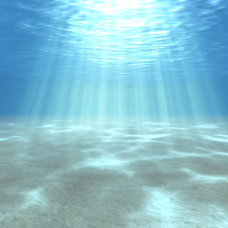 Underwater Light Effects | ACFR Marine