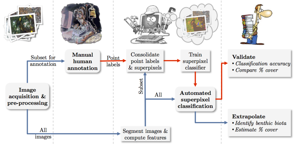 Flow diagram of the proposed pipeline for sub-image classification of benthic biota. The blue arrows show the ﬂow of unlabelled data and outputs from automated processing steps, and the red arrows show the ﬂow of data that requires manual annotation by a human expert.