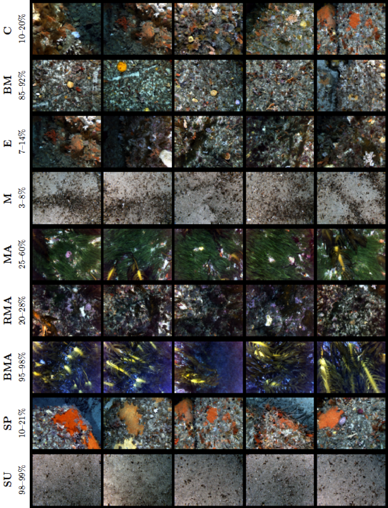 Non-overlapping unscored sample images for each class. Each row shows thumbnails of the 5 images that contain the highest proportion for each class. The figure also presents the range in percent cover across the images that are shown.