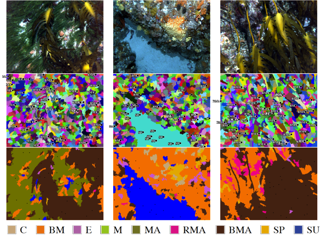 Superpixel classification example images. The first row shows the original image examples; the second row shows labels overlaid onto segmented images (with the unlabeled superpixels coloured randomly); and the third row shows the output from the automated classifier.