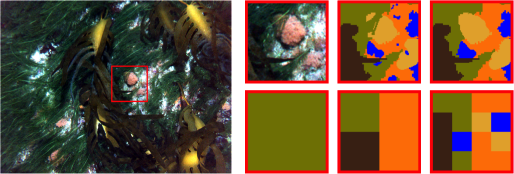 Classification of sub-image regions using superpixels vs square patches. (a) shows a sample image with a 100 × 100 pixel bounding box around a chosen region of interest, (b) shows a zoomed in view of the chosen region and (c) shows the class ground truth. (d) shows the classification possible with a superpixel / segmentation based approach and (e), (f) and (g) show the classification possible using non-overlapping square patches of size 100 × 100, 50 × 50 & 25 × 25 pixels, respectively